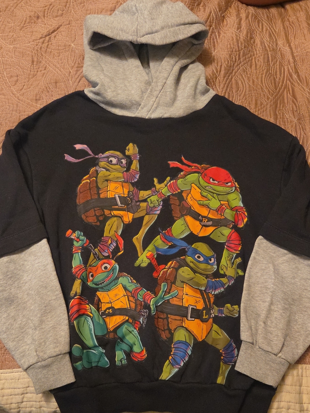 H&M Black & Gray Teenage Mutant Ninja Turtles Pullover Hoodie
